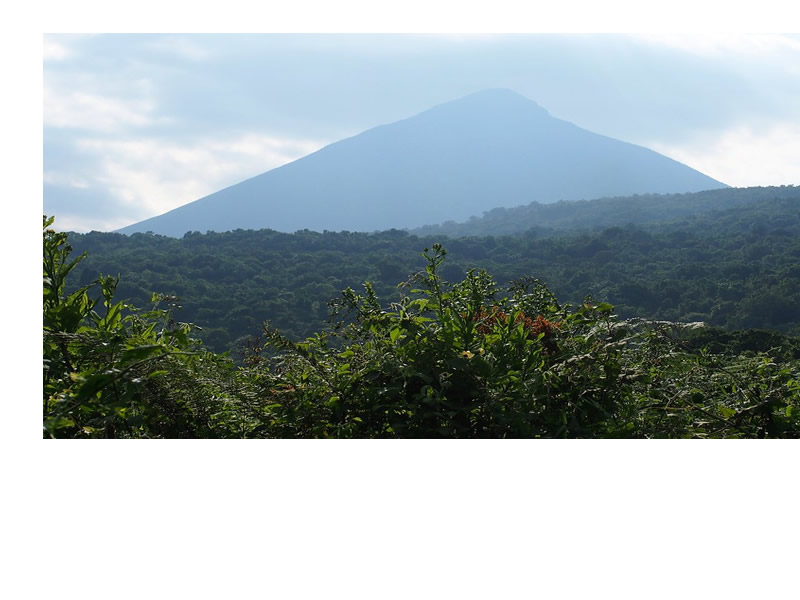 virunga conservation area