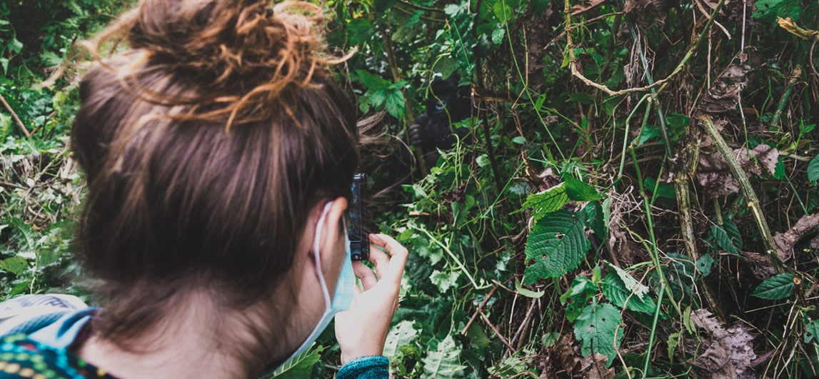 gorilla trekking in Bwindi